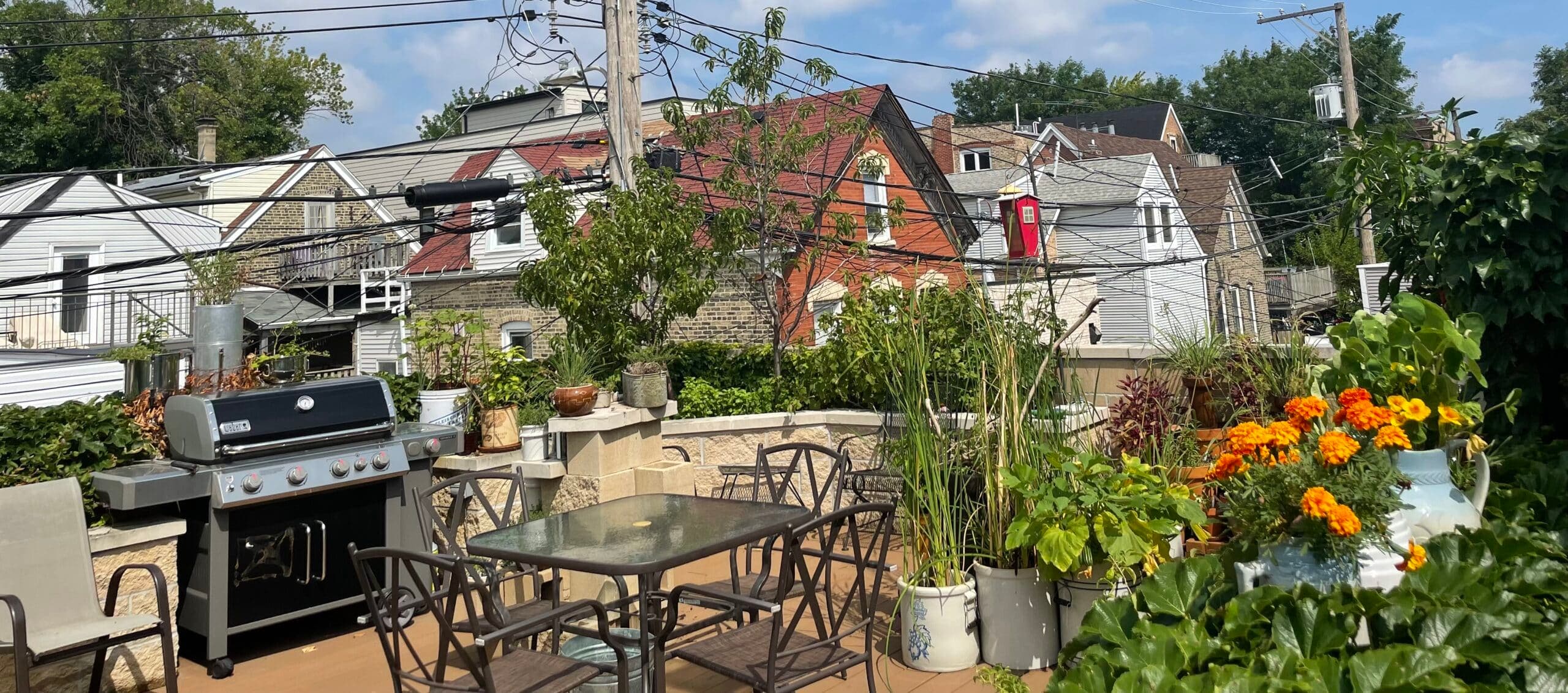 A rooftop patio featuring a grill, dining table, potted plants, and nearby houses under a blue sky.