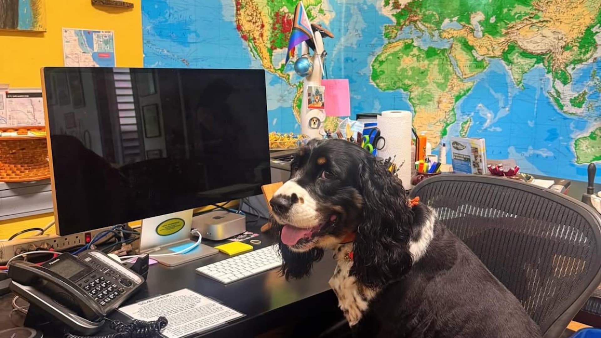 A dog sits at a desk in front of a computer, surrounded by office supplies and a world map.