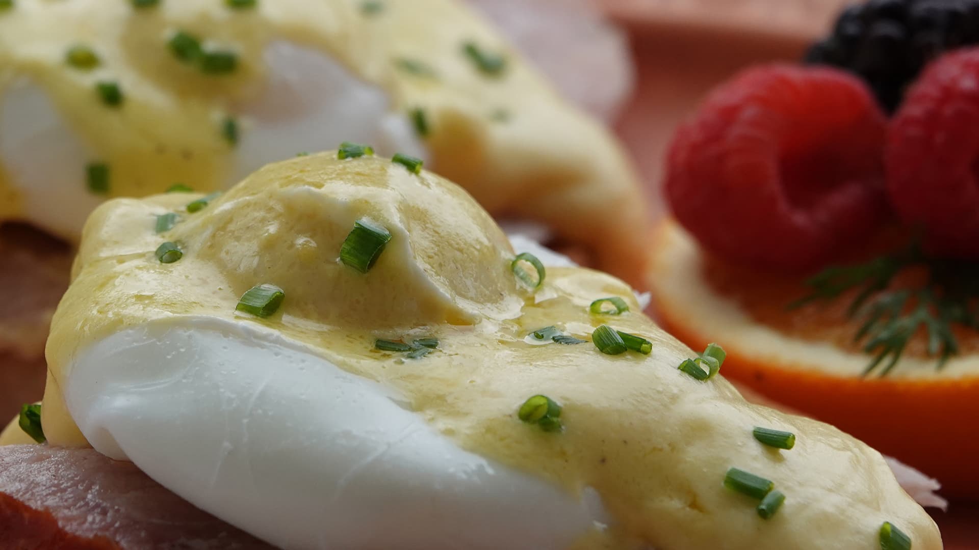 Dog Friendly Hotels West Town Chicago