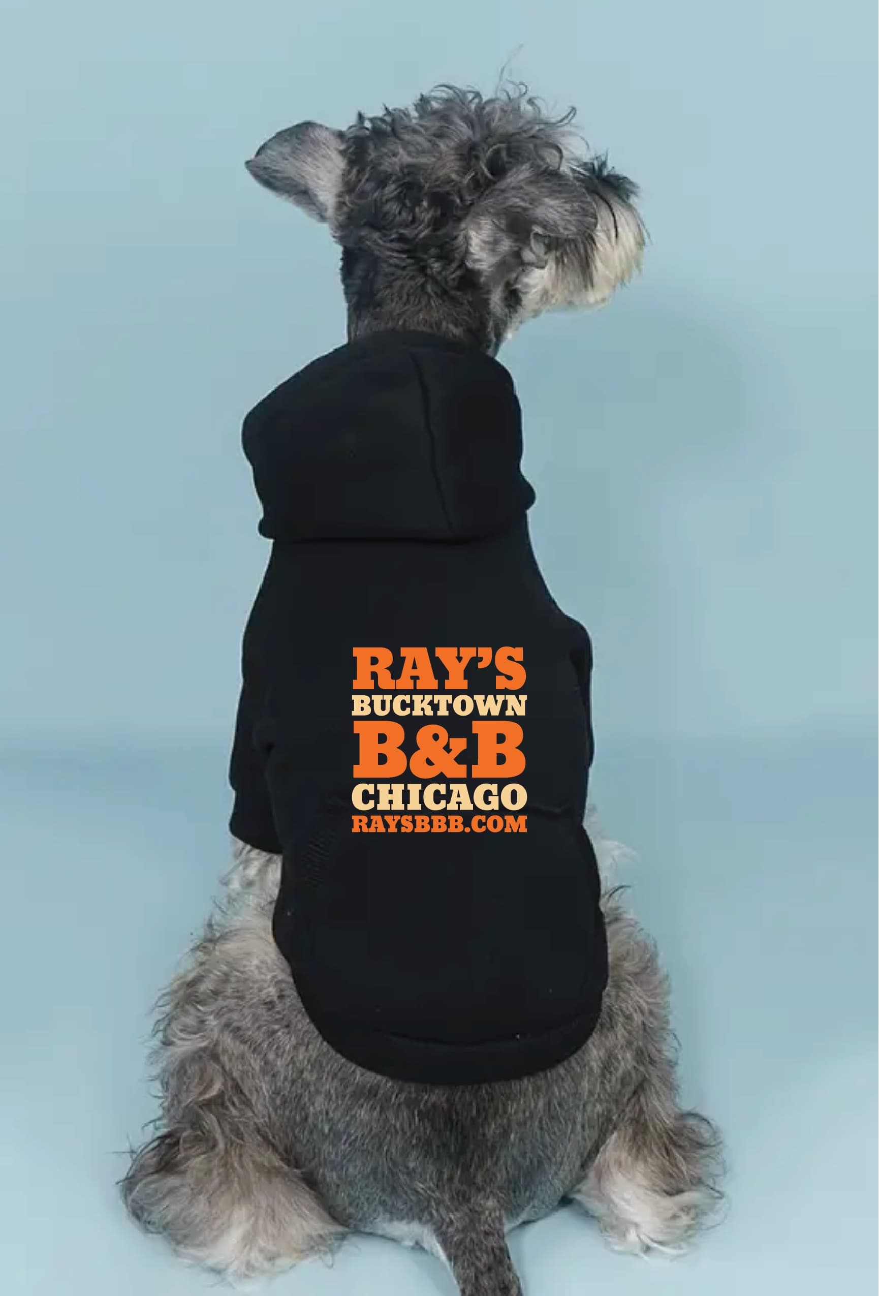A dog wearing a black hoodie with the text "RAY'S BUCKTOWN B&B CHICAGO" on the back.